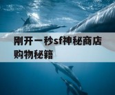 刚开一秒sf神秘商店购物秘籍