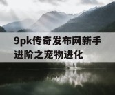 9pk传奇发布网新手进阶之宠物进化