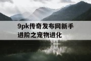 9pk传奇发布网新手进阶之宠物进化