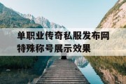 单职业传奇私服发布网特殊称号展示效果