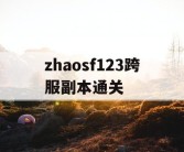 zhaosf123跨服副本通关