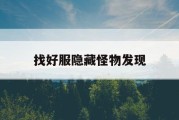 找好服隐藏怪物发现