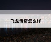 飞龙传奇怎么样