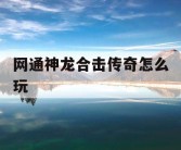 网通神龙合击传奇怎么玩