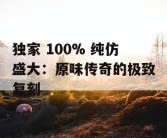 独家 100% 纯仿盛大：原味传奇的极致复刻