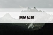 网通私服