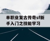 单职业复古传奇sf新手入门之技能学习