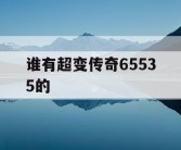 谁有超变传奇65535的