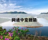 网通中变靓装