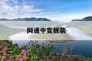 网通中变靓装