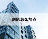 刺影怎么加点