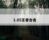 1.85王者合击