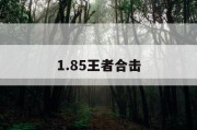 1.85王者合击