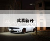 武易新开