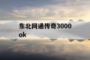 东北网通传奇3000ok