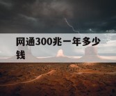 网通300兆一年多少钱