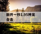 新开一秒1.95神龙合击