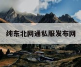 纯东北网通私服发布网