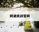 网通挑战官网