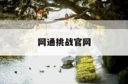 网通挑战官网