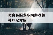 微变私服发布网游戏兽神印记介绍