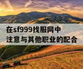 在sf999找服网中注意与其他职业的配合