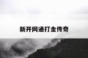 新开网通打金传奇