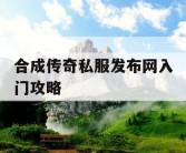 合成传奇私服发布网入门攻略