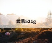 武易521g