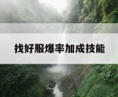 找好服爆率加成技能