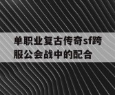 单职业复古传奇sf跨服公会战中的配合