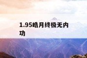 1.95皓月终极无内功