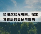 私服沉默发布网，探索其背后的奥秘与影响