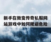 新手在微变传奇私服网站游戏中如何规避危险