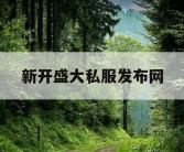 新开盛大私服发布网