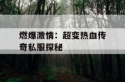 燃爆激情：超变热血传奇私服探秘