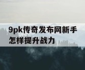 9pk传奇发布网新手怎样提升战力
