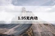 1.95无内功