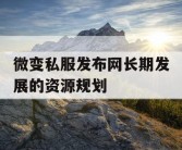 微变私服发布网长期发展的资源规划
