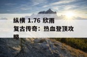 纵横 1.76 欣雨复古传奇：热血登顶攻略
