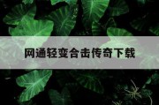网通轻变合击传奇下载