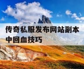 传奇私服发布网站副本中回血技巧