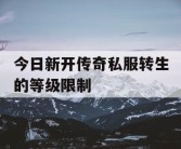 今日新开传奇私服转生的等级限制