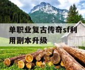 单职业复古传奇sf利用副本升级