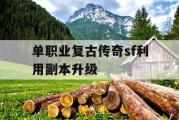 单职业复古传奇sf利用副本升级