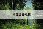 中变合击电信