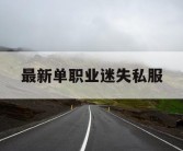 最新单职业迷失私服