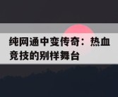 纯网通中变传奇：热血竞技的别样舞台