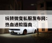 玩转微变私服发布网：热血进阶指南