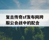 复古传奇sf发布网跨服公会战中的配合